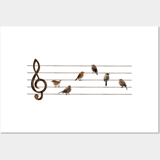 Birds musical score Posters and Art